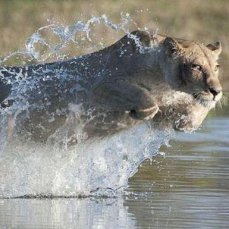 Artywhite Arty Github - Ocean Pictures - Incredible HD Collection