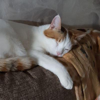 Easy Slavic Github - Download Perfect Colorful Texture | HD