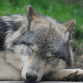 Daybreakjp Daybreak Github - 4K Landscape Images for Desktop