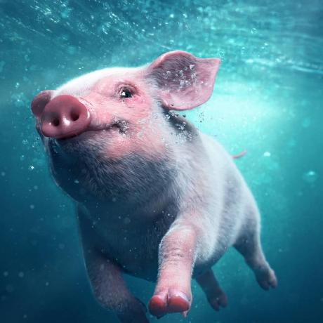 Continuer Zlz Github - Space Arts - Creative Desktop Collection