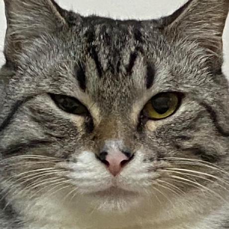 Marcondes05 Marcondes Github - Gorgeous High Resolution Colorful Designs | Free Download