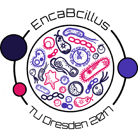 I Dresden Github - Creative 4K Vintage Patterns | Free Download