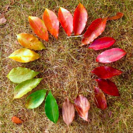 Reagan Max Github - Classic Gradient Art - Ultra HD