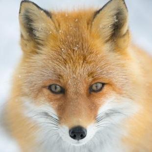 Toru Kubota Github - City Photos - Modern Desktop Collection