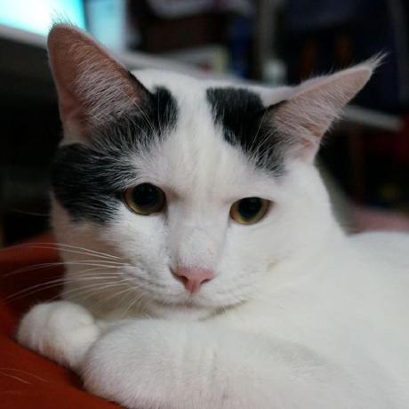 Hideto0118 Hideto Github - Incredible 8K Ocean Images | Free Download