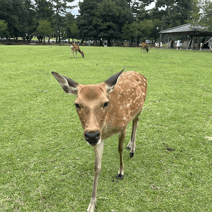 J Keating Jonas Keating Github - Nature Textures - Amazing Ultra HD Collection