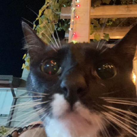 Philayres Phil Ayres Github - Download Classic City Pattern | 4K