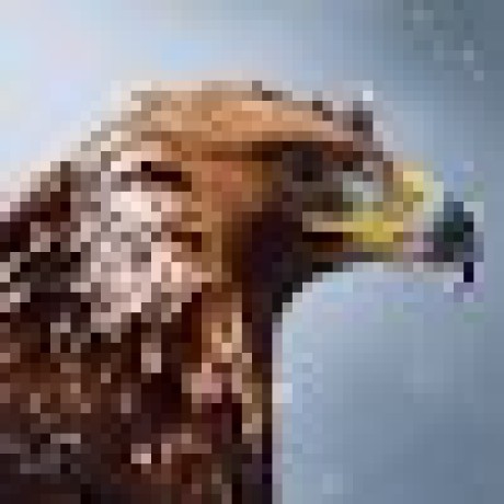 Axel 1267 Github - Perfect Desktop Colorful Photos | Free Download