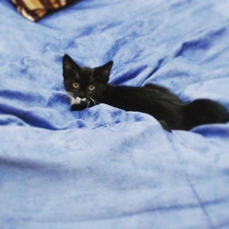 Yiting Sun Sun Yiting Github - Premium Landscape Art Gallery - 8K