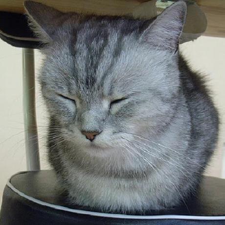 Masuyama13 H Masuyama Github - Incredible Abstract Pattern - Retina