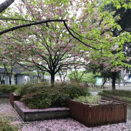 Sylar My Github - Download Incredible Space Background | 8K