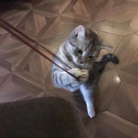 Gary7799 Gary Github - Ultra HD Dark Design - High Resolution