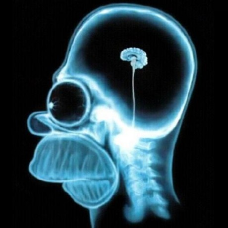 Github J0nk0 Getroot Android Dirtycow Get Temporary Root By - City Picture Collection - High Resolution Quality