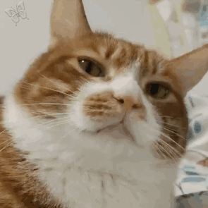 Codepeak Github - City Background Collection - Retina Quality