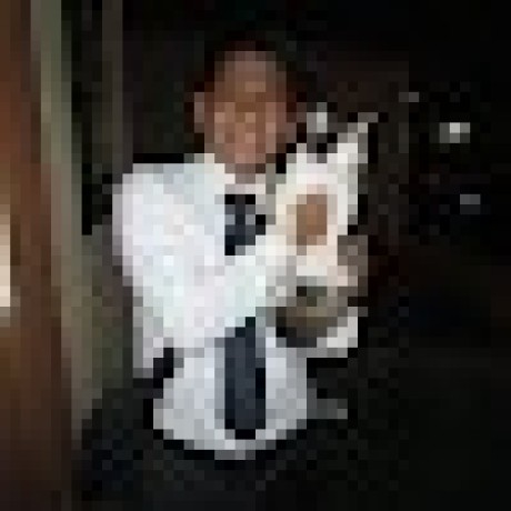 Lloyd Lei Github - Colorful Background Collection - Desktop Quality