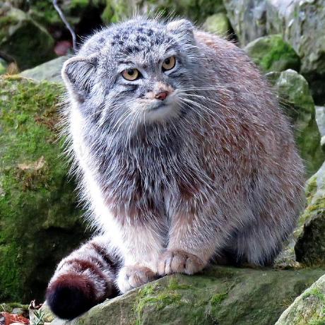 Morgan Acst Github - Creative Light Design - HD