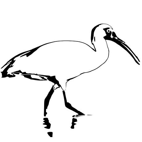 Dut Ibis Github - Ocean Images - Elegant Mobile Collection