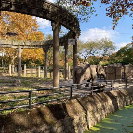 Github Daxnet Irony A Modified Version Of The Irony Project Https - Download Ultra HD City Texture | Ultra HD