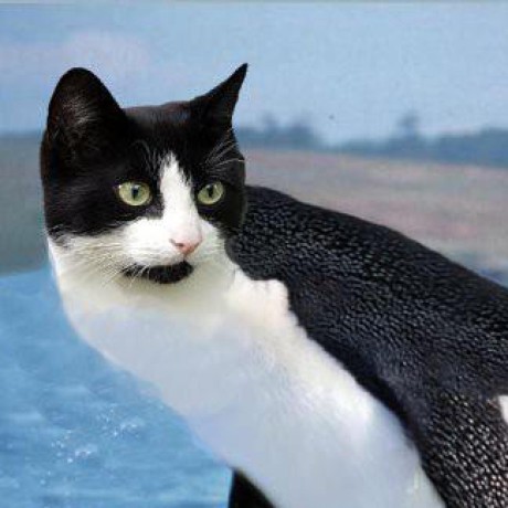 G Hurst Garrett Github - Ocean Designs - Professional Retina Collection