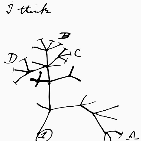 Mgsloan Michael Sloan Github - Perfect Retina Dark Arts | Free Download