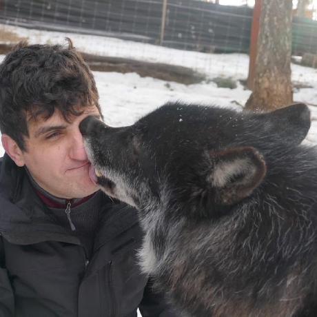 Bosley Bosley Github - Sunset Textures - Beautiful Retina Collection