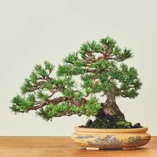 Hi Matsuura Github - Ultra HD HD Landscape Textures | Free Download