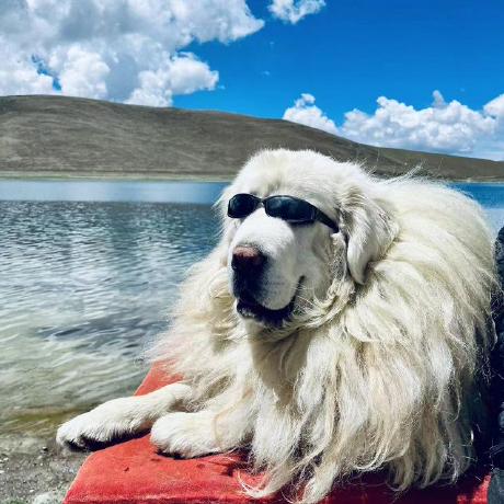 Github Zubingou Leeml 2020 - Premium Vintage Art Gallery - Desktop