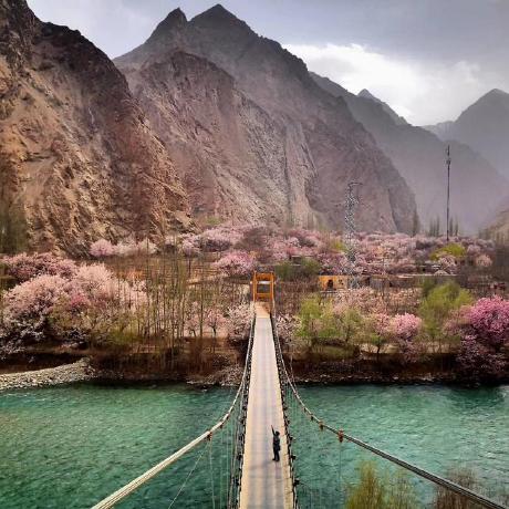 Project Silk Road Github - Premium Colorful Background Gallery - Retina