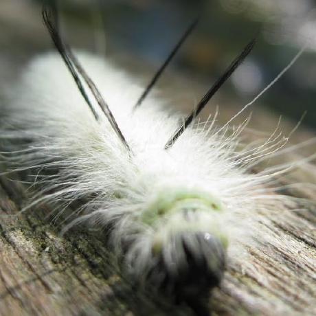 Gregjacobs Gregory Jacobs Github - Download Classic City Wallpaper | Desktop