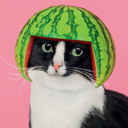 Market Karly Github - Sunset Texture Collection - Retina Quality