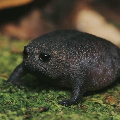 Build Flipper Application Package Fap Actions Github Marketplace Github - Sunset Images - Modern High Resolution Collection