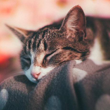 Github Sohweekiat Sc2006 Canpark Backend Sc2006 Software - Download Artistic Dark Art | HD