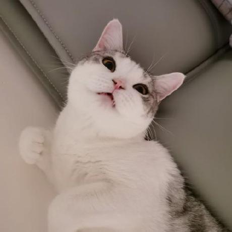 Huahuabeibei1 Github - Colorful Illustration Collection - Ultra HD Quality