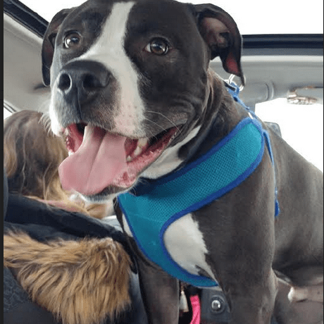 Kolten Spec Github - Download Ultra HD Mountain Wallpaper | Desktop