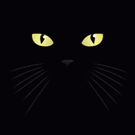 Kosavpa Saveliy Github - Best Landscape Designs in 4K