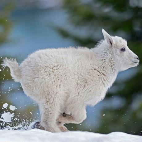 Primus66 Oluwatomiwa Adegoroye Github - Premium Sunset Picture Gallery - 4K