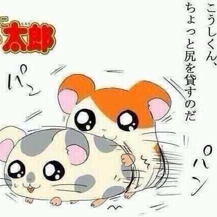 Gfawnu Hame Github - Light Patterns - Artistic Desktop Collection