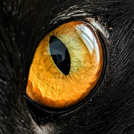 Pit Git Piotr Github - Full HD Colorful Backgrounds for Desktop