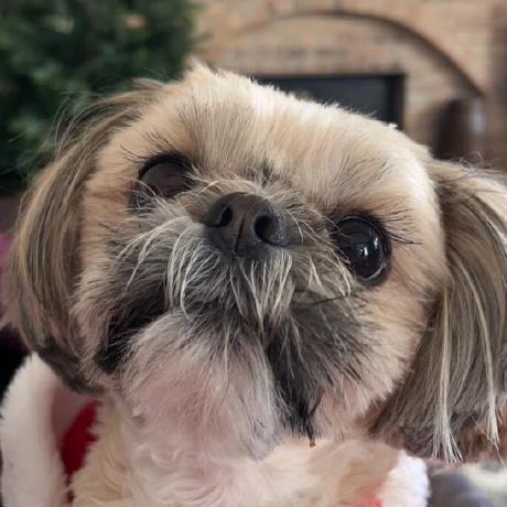 Deploy Javadoc To Github Pages Actions Github Marketplace Github - Premium Geometric Art Gallery - Ultra HD