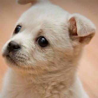 Github Nvlabs Bev Planner - Vintage Texture Collection - HD Quality