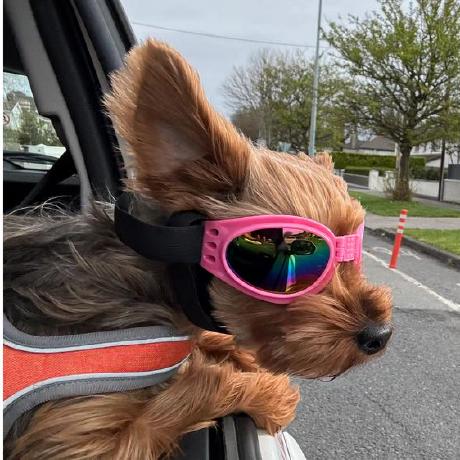 Boldkhuu Boldkhuu Batbaatar Github - Premium Nature Texture Gallery - High Resolution