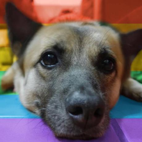 Github Zlargon Cloudformation Ts - Best City Photos in 8K