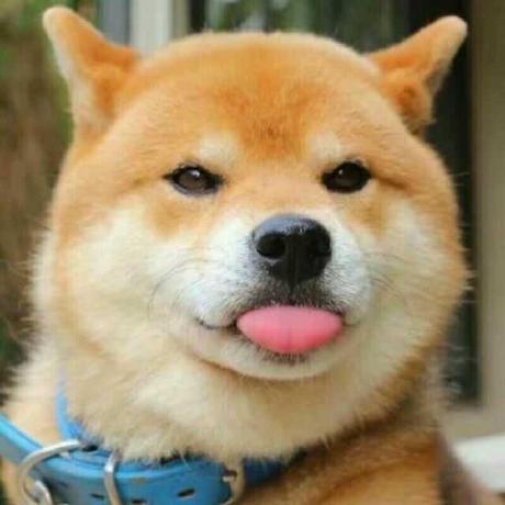 Jaschenn Wangda Github - Best Colorful Wallpapers in HD