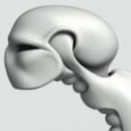 Makinwd Sergei Bystrov Github - Classic Dark Design - Ultra HD