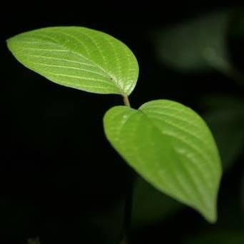 Nybergjack Jack Nyberg Github - Abstract Wallpaper Collection - Desktop Quality