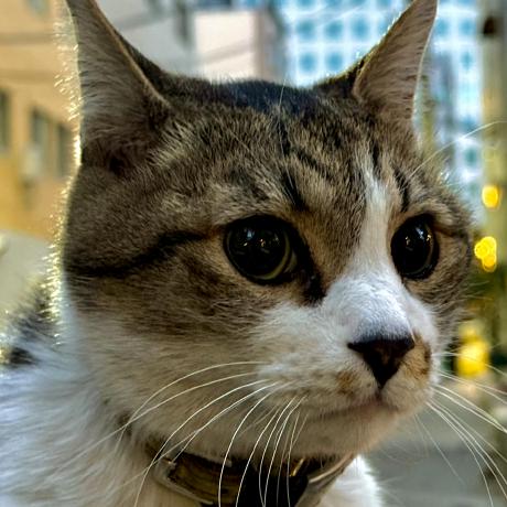 Ifc Hamaguchi Github - Download Modern Space Picture | Ultra HD