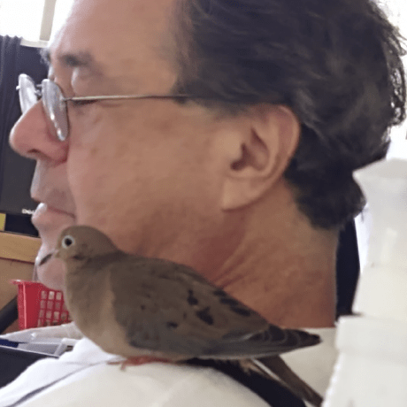 Harold Fx Github - Space Textures - Artistic HD Collection