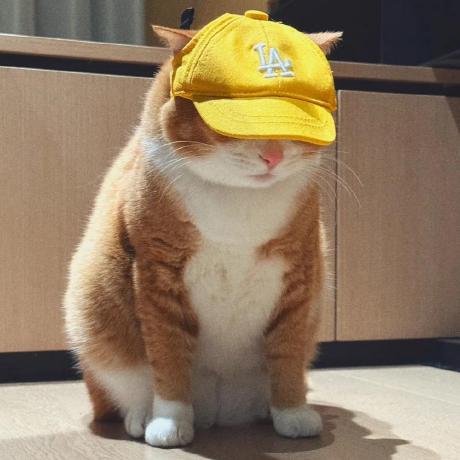 Github Akalicki Stratus Free Unlimited Cloud Storage - Colorful Illustrations - Classic Full HD Collection