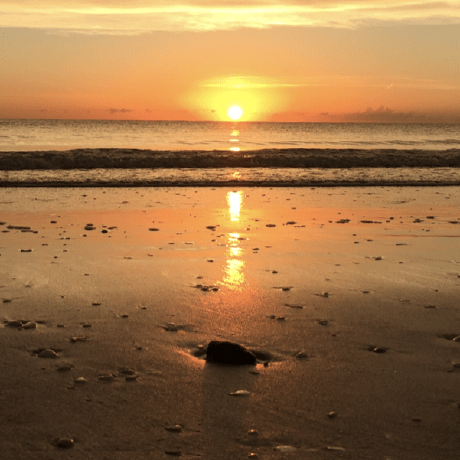 Ziyaret Tepe Github - Gorgeous Light Illustration - Retina