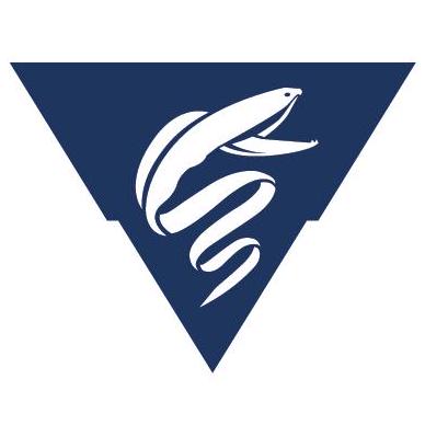 Mbari60 Kevin Mbari Github - Premium Ocean Design Gallery - Ultra HD